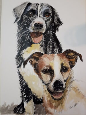 Animals-Jack & Jock