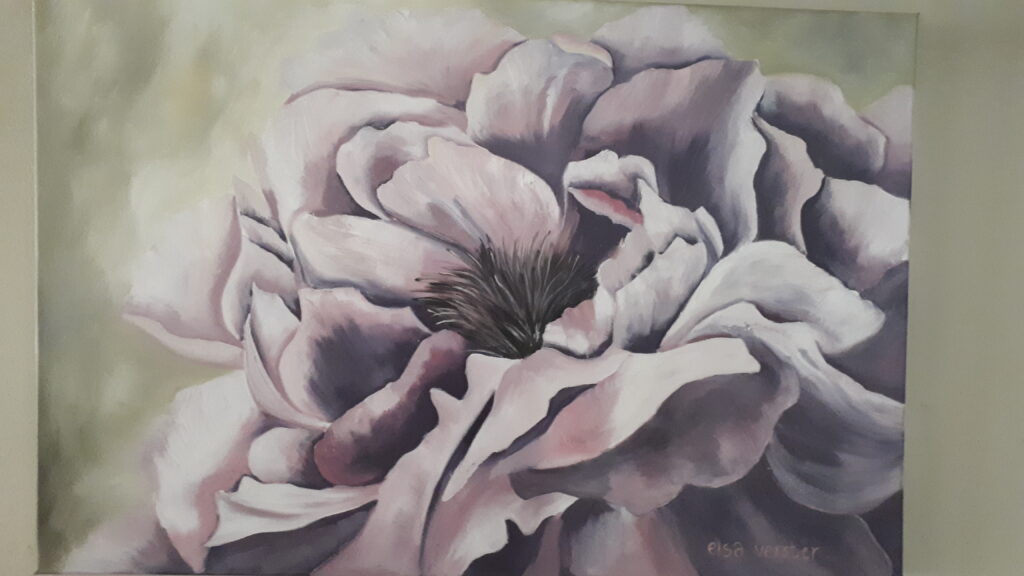 Flowers-Peone