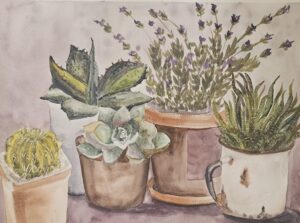 Painting: Still life- Succulents