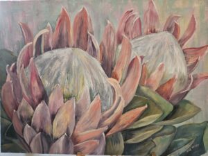 Flowers - Proteas